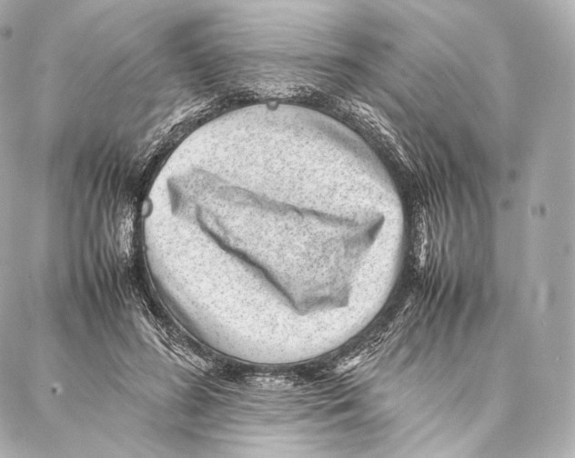 X0000086970596200705141653