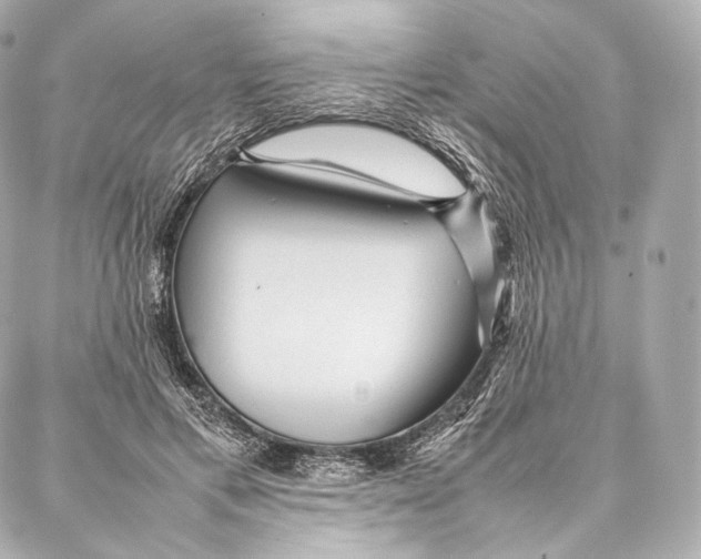 X0000086970597200705141653