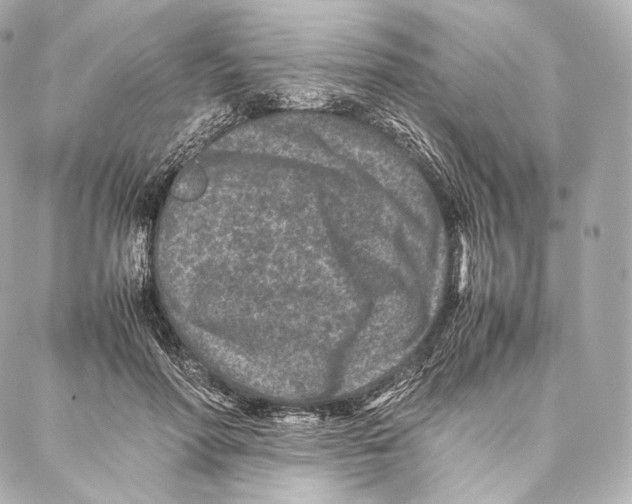 X0000086970598200705141653