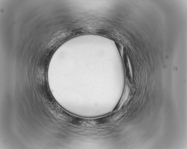 X0000086970599200705141653