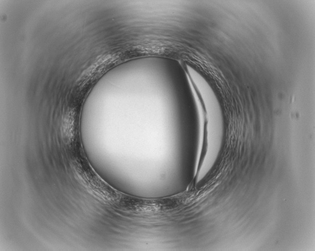 X0000086970600200705141653