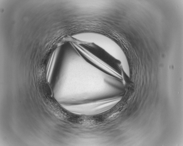 X0000086970601200705141653