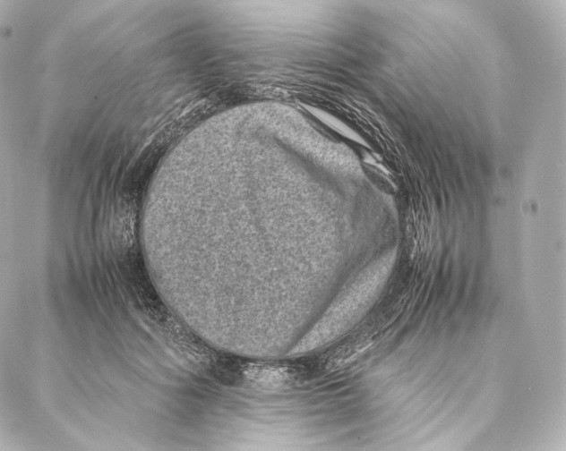 X0000086970602200705141653