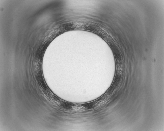 X0000086970603200705141653