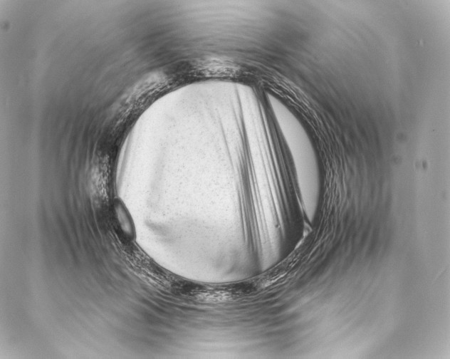 X0000086970604200705141653