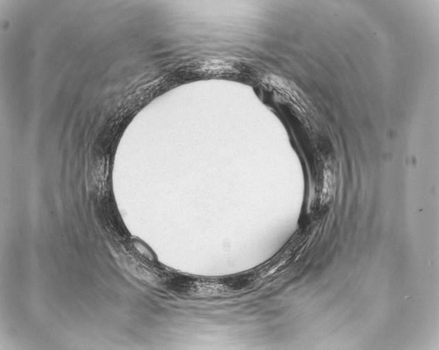 X0000086970605200705141653