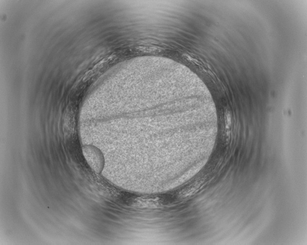 X0000086970606200705141653