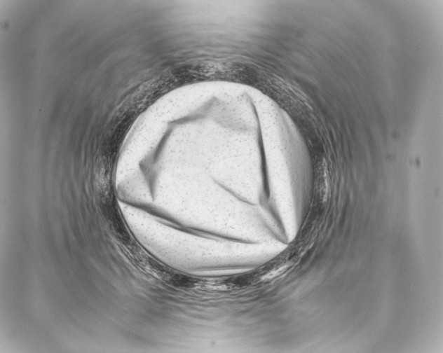 X0000086970607200705141652