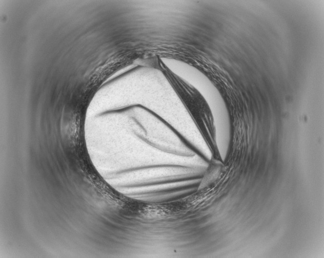 X0000086970608200705141652