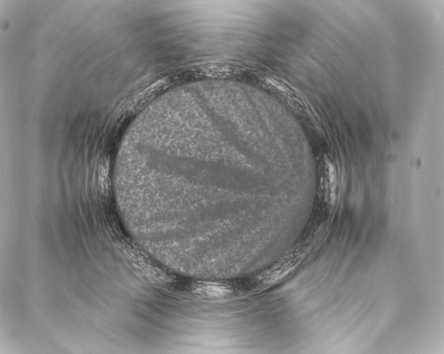 X0000086970610200705141652