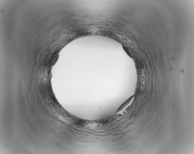 X0000086970611200705141652