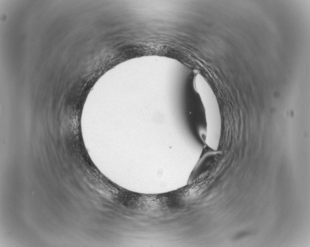 X0000086970613200705141652