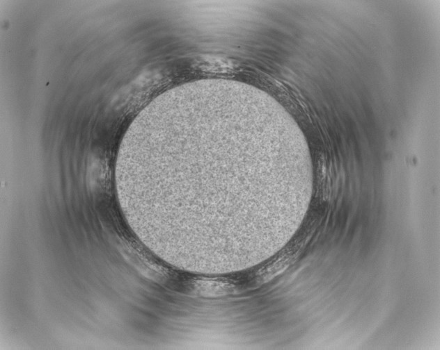 X0000086970614200705141652