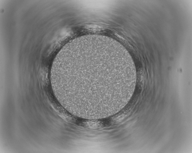 X0000086970615200705141652