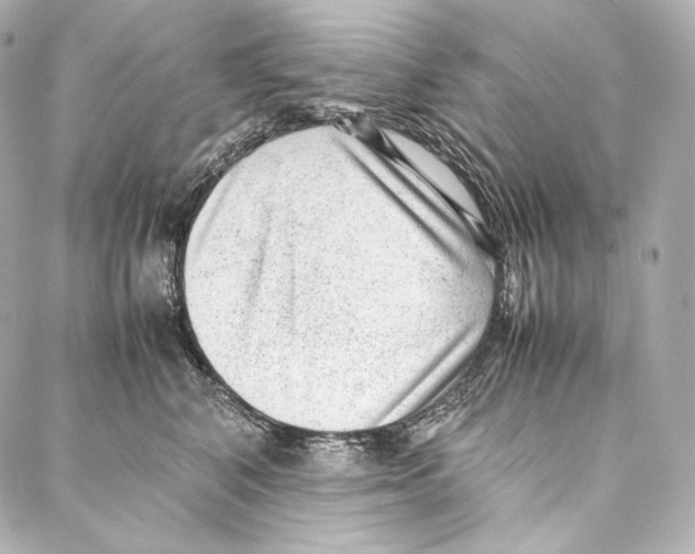 X0000086970616200705141652