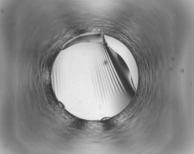 X0000086970617200705141652