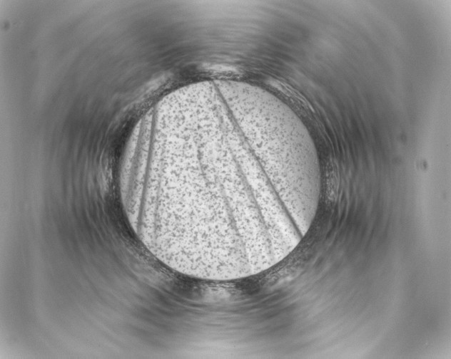 X0000086970618200705141652