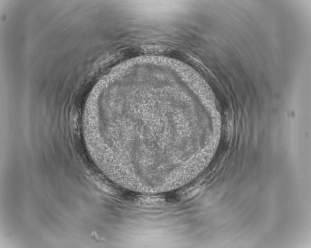 X0000086970619200705141652