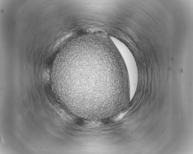 X0000086970621200705141652