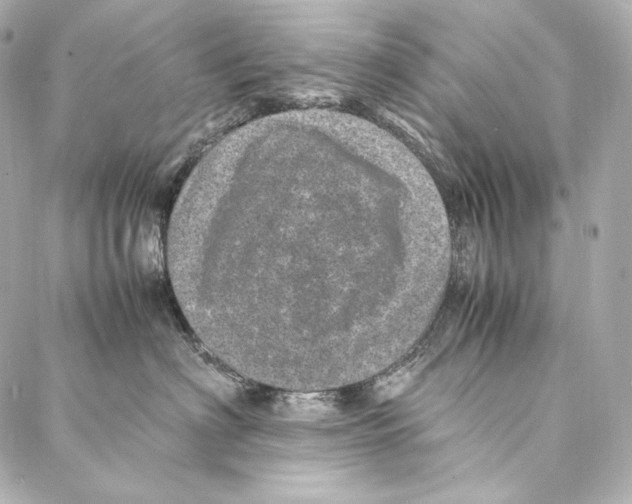 X0000086970622200705141652