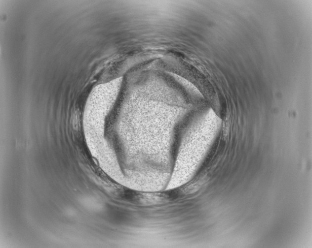 X0000086970623200705141652