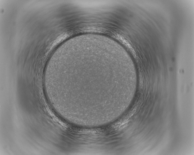 X0000086970625200705141651