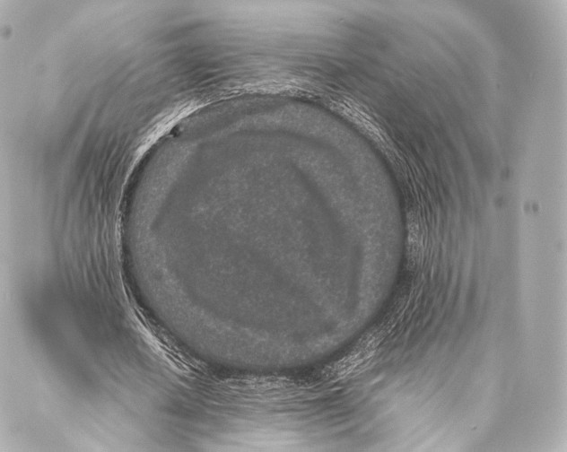 X0000086970626200705141651