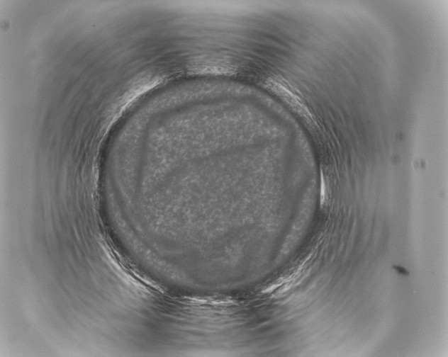 X0000086970627200705141651