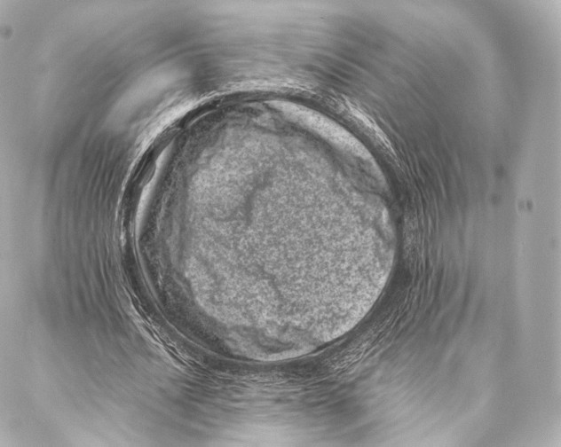 X0000086970628200705141651