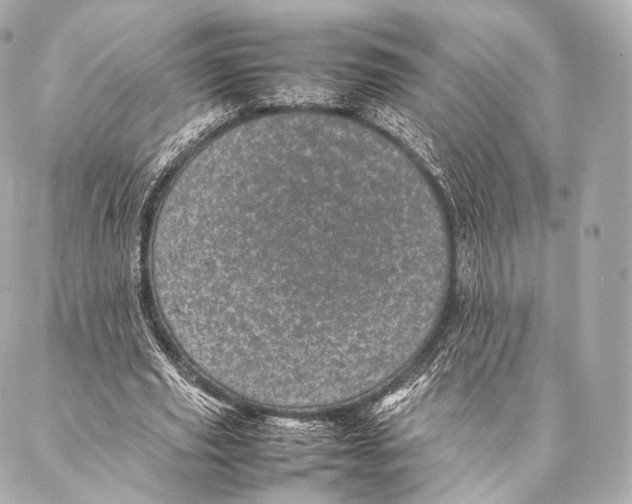 X0000086970629200705141651