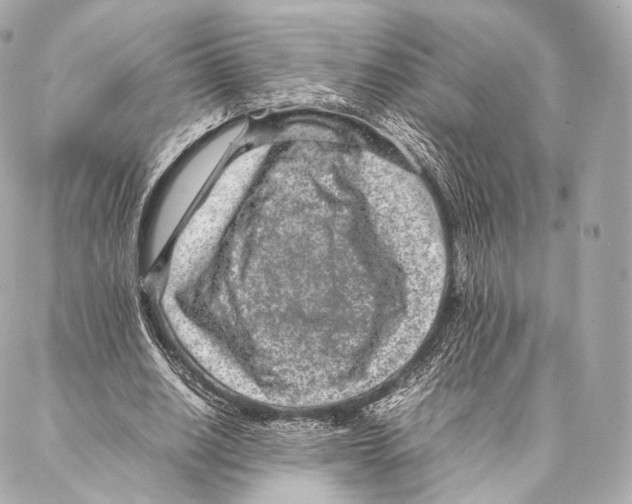 X0000086970630200705141652