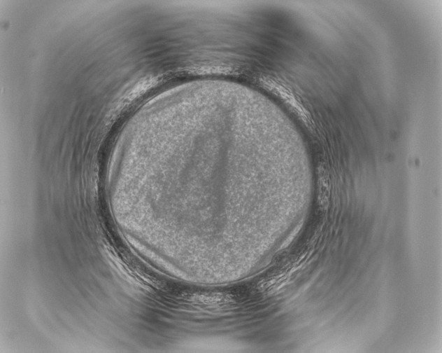 X0000086970631200705141652