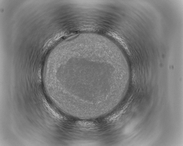 X0000086970633200705141652