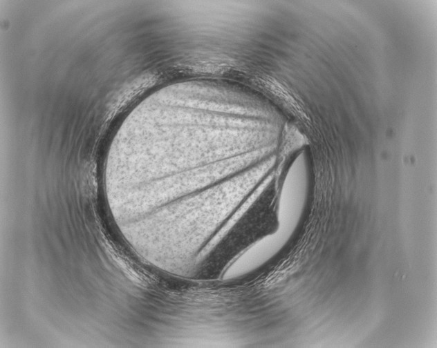 X0000086970634200705141652