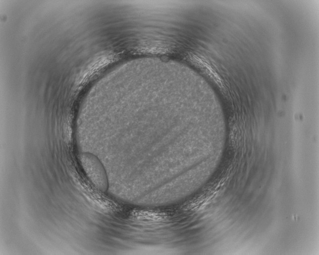 X0000086970635200705141652