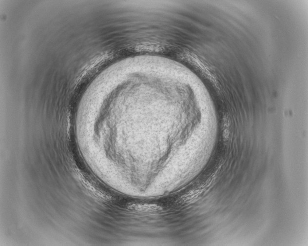 X0000086970637200705141652