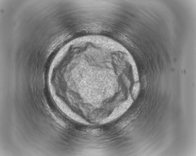 X0000086970638200705141652