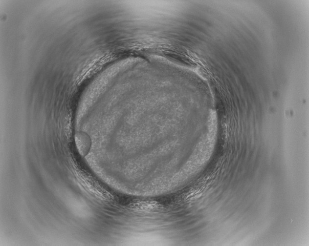 X0000086970642200705141652