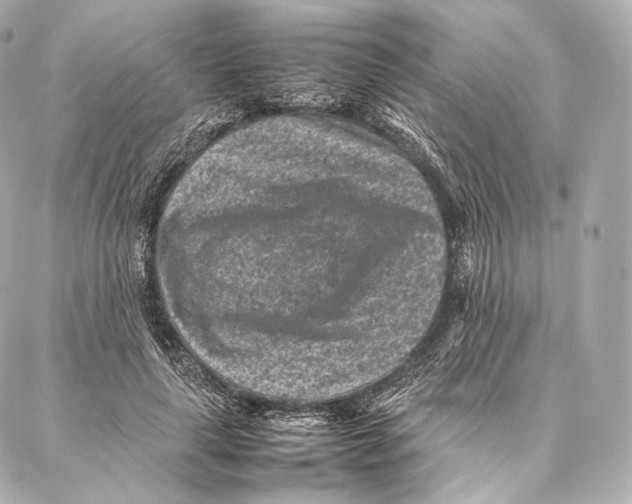 X0000086970643200705141652