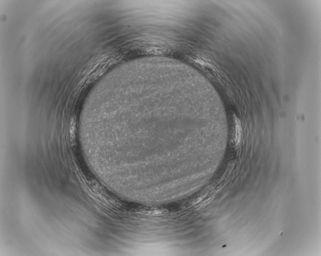 X0000086970646200705141652