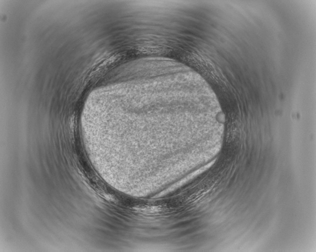 X0000086970647200705141652