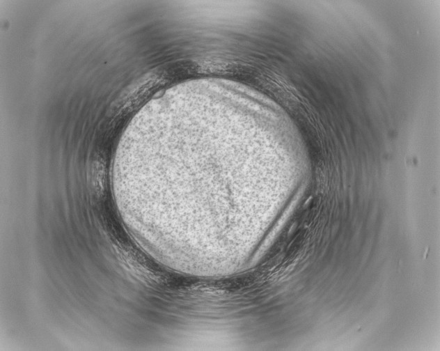 X0000086970648200705141652