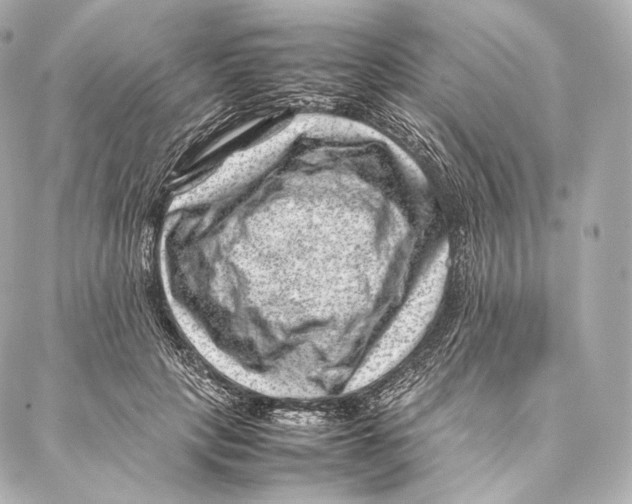 X0000086970649200705141652