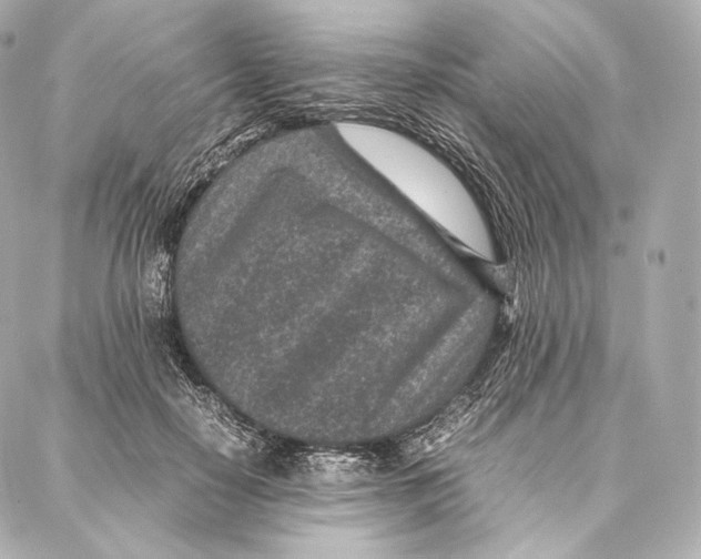 X0000086970650200705141652