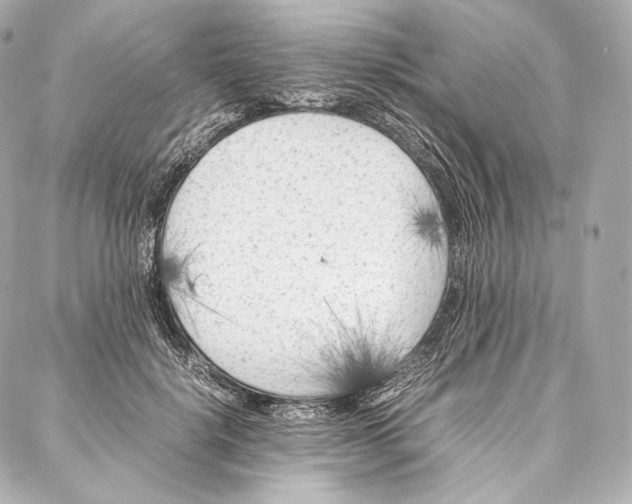 X0000086970652200705141652