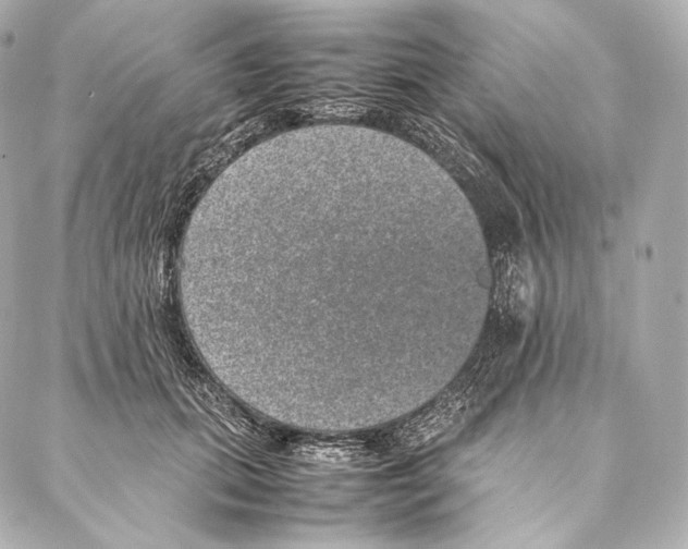 X0000086970655200705141652