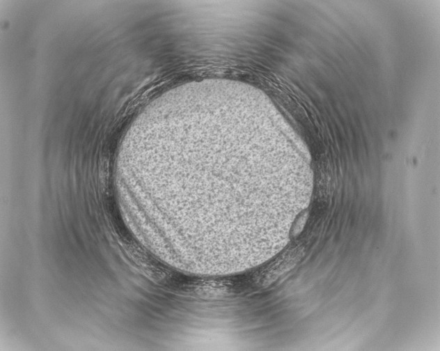 X0000086970656200705141652