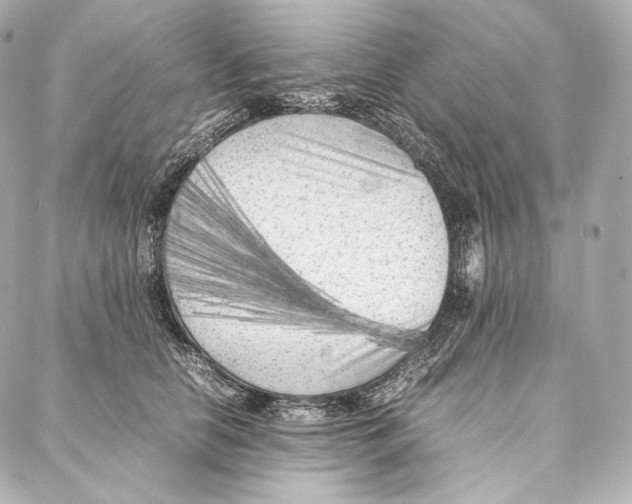 X0000086970658200705141652