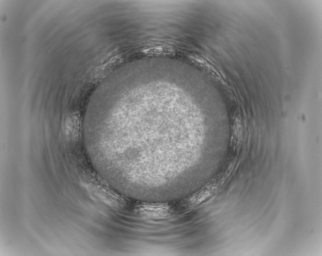 X0000086970659200705141652