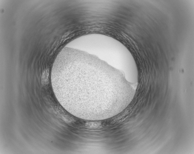 X0000086970660200705141652